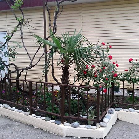 Orhidea Guest House Gagra Kültér fotó