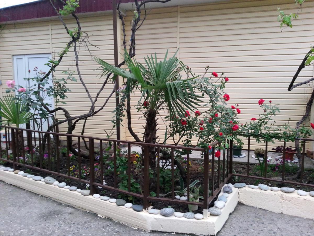 Orhidea Guest House Gagra Kültér fotó